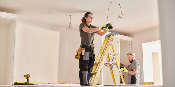 Best Electrical Repair Services  in Erie, IL