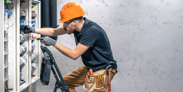 Best Electric Panel Repair  in Erie, IL